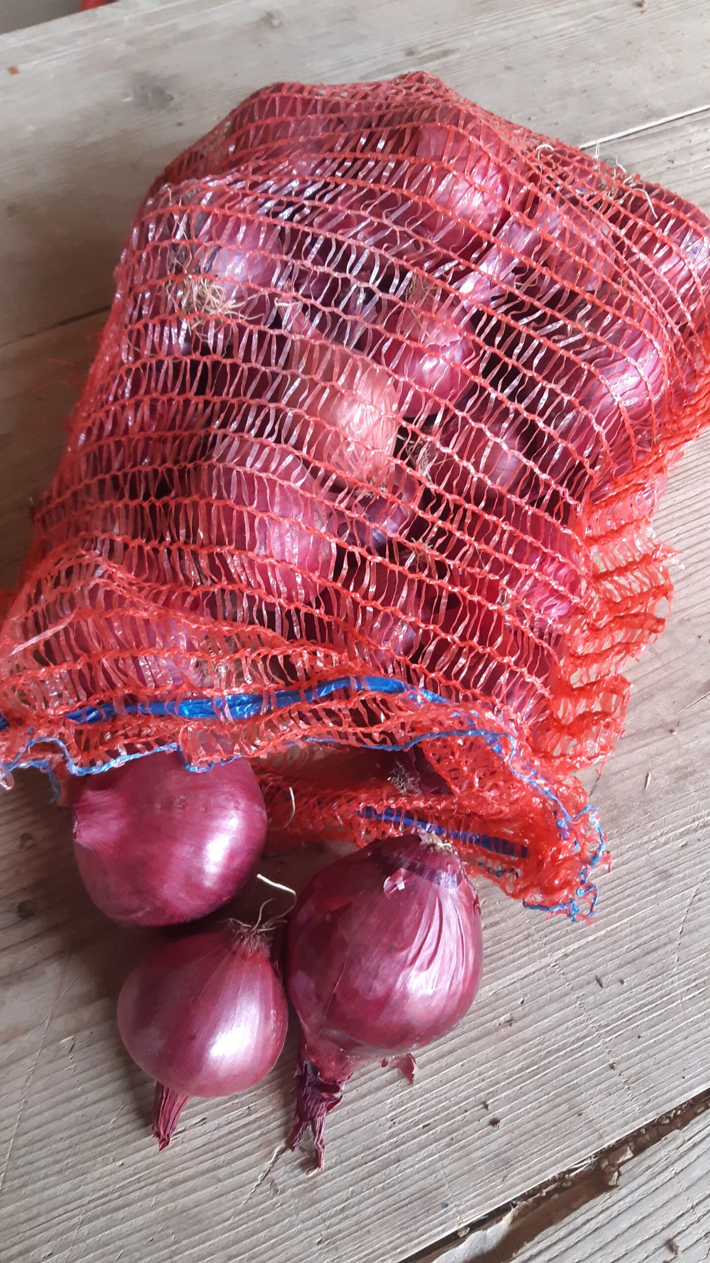 Filet oignons rouges bio 2.5kg5€ Ferme de Neuvelle